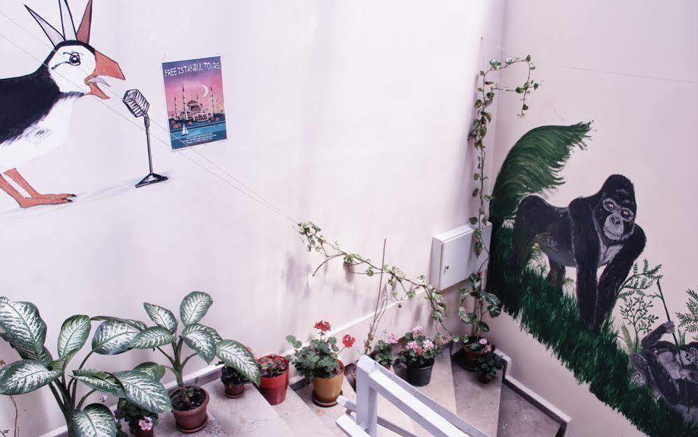 Ostello Puffin Boutique - Provincia di Istanbul Esterno foto
